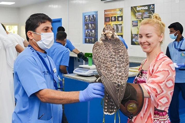 Falcon Hospital Tour with Transportation