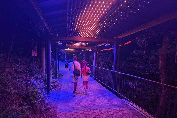 長崎稲佐山ロープウェイ日帰り＆夕景ツアー