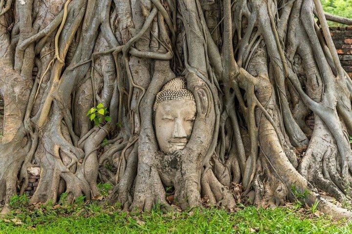 Bangkok to Ayutthaya UNESCO Temples & Bang Pa-In Palace Tour