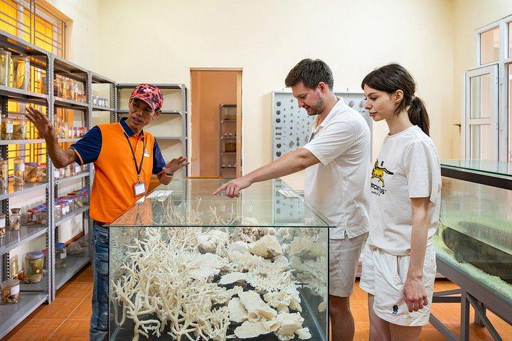 ランハ湾＆猫バ島日帰りクルーズ密が少ない体験