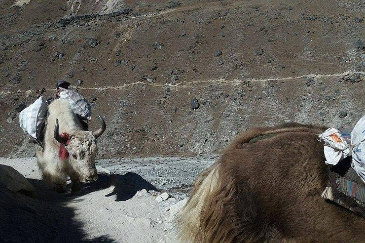 Everest Base Camp Private Trek in Nepal