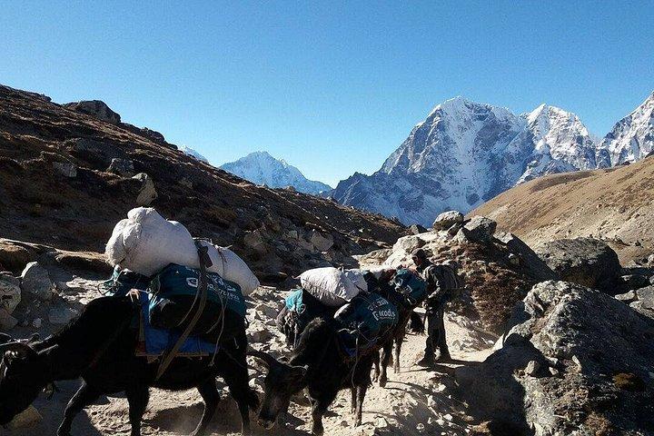 Everest Base Camp Private Trek in Nepal
