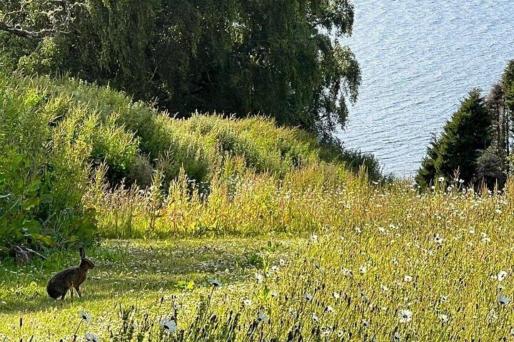 ネス湖のボレスキンハウスセルフガイドヘリテージツアー