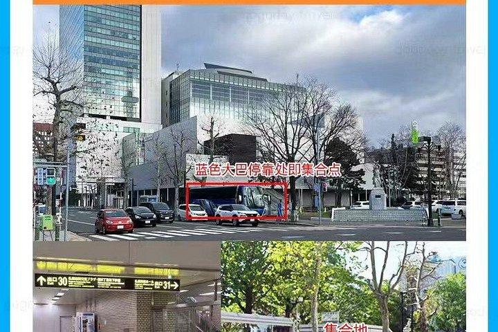 札幌発 北海道日帰り旅行 美瑛・青池・富良野花海