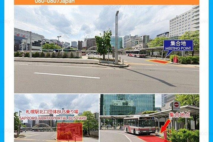 札幌発 北海道日帰り旅行 美瑛・青池・富良野花海