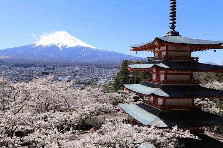 温泉とアウトレット付き東京富士山プライベート日帰り旅行から