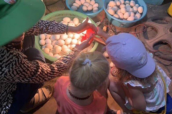 Hoi An Tagestour mit dem Auto