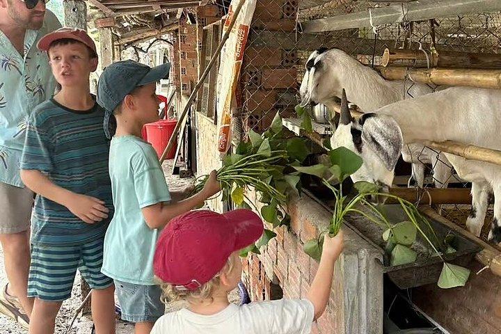 Hoi An Tagestour mit dem Auto