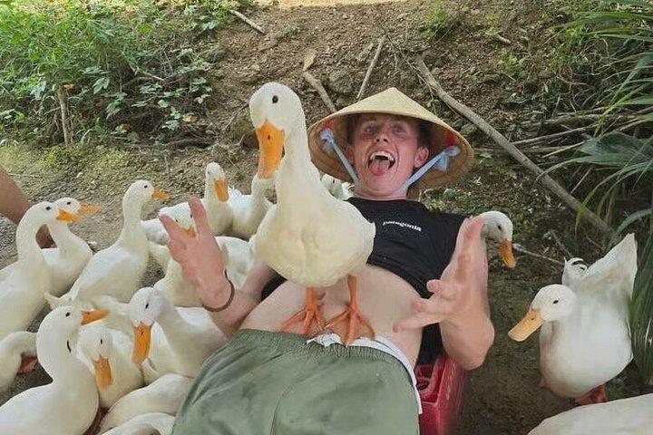 ホイアン：面白いダックストップ田園ファンファーム訪問