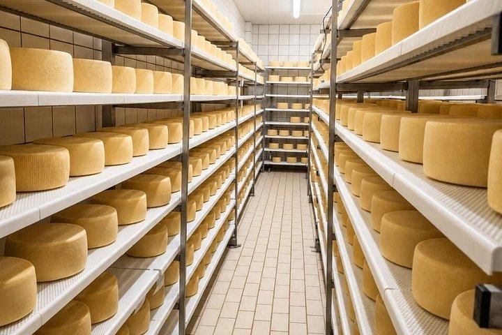 Tour della fabbrica di formaggi