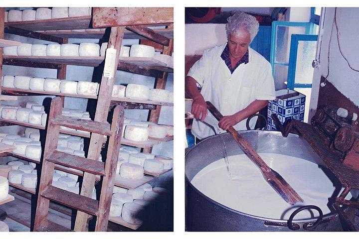 Tour della fabbrica di formaggi
