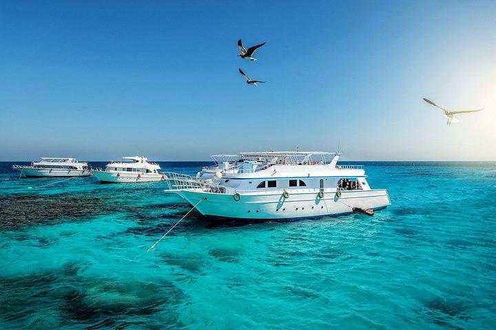 Red Sea Boat Escape: Private Shore Tour from Safaga Port