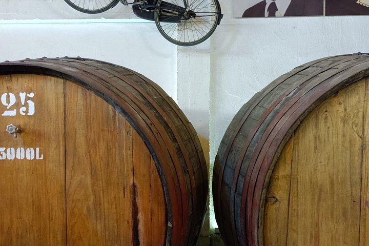 Bairrada Winery Route, half day from Coimbra