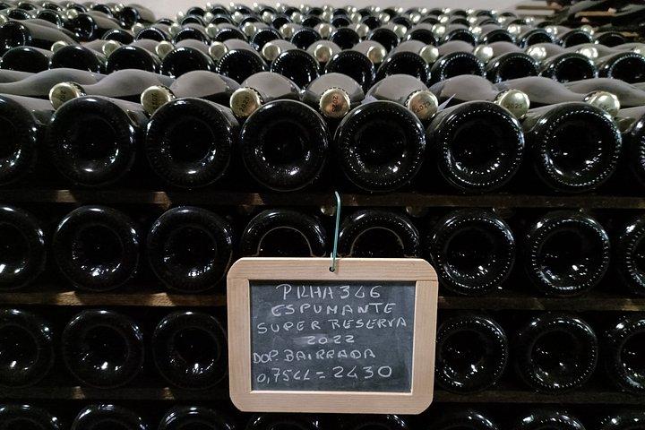 Bairrada Winery Route, half day from Coimbra