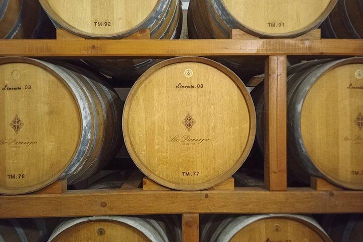 Bairrada Winery Route, half day from Coimbra