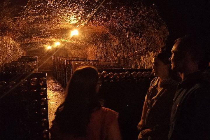 Bairrada Winery Route, half day from Coimbra