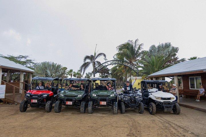アラバ UTV＆ATVツアー：アニマルガーデン、ノースコースト＆アンディクリビーチ