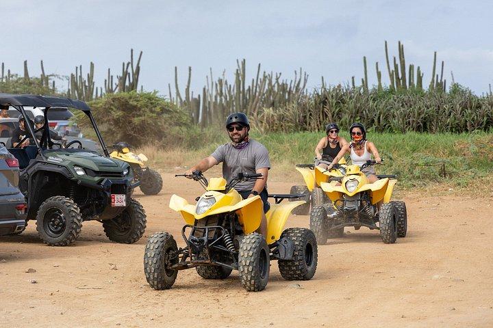 アラバ UTV＆ATVツアー：アニマルガーデン、ノースコースト＆アンディクリビーチ