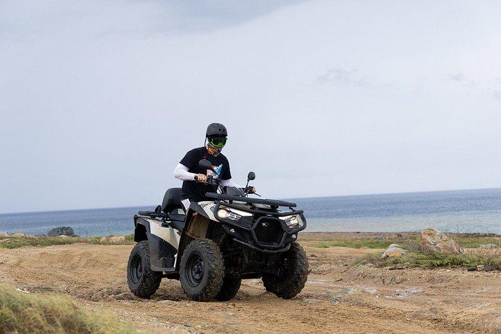 アラバ UTV＆ATVツアー：アニマルガーデン、ノースコースト＆アンディクリビーチ