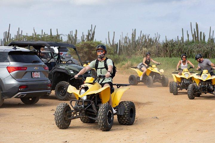 アラバ UTV＆ATVツアー：アニマルガーデン、ノースコースト＆アンディクリビーチ