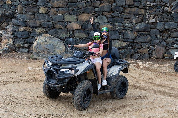 アラバ UTV＆ATVツアー：アニマルガーデン、ノースコースト＆アンディクリビーチ