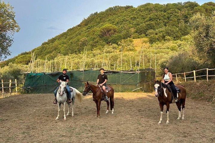 ソレントの丘陵地帯での乗馬と食前酒