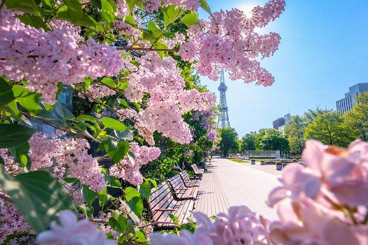 東京日立海浜公園&茨城海岸プライベートツアー