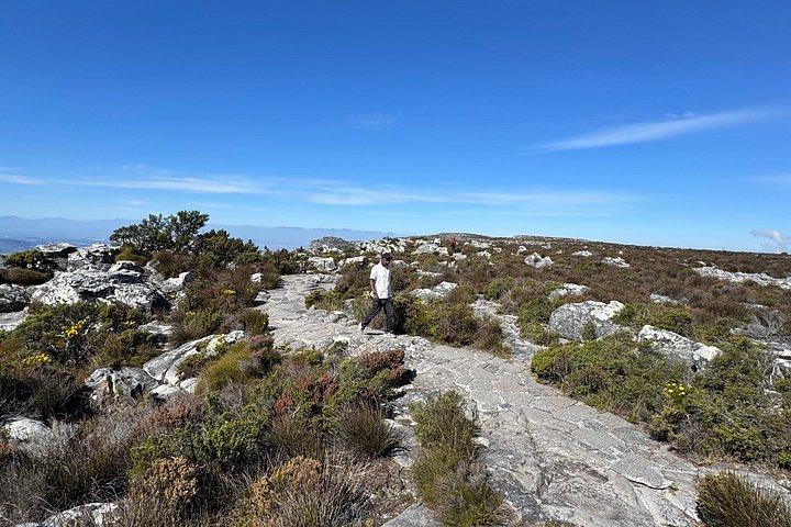 Table Mountain Fast Track with Pre-Booked Ticket Self Arrival