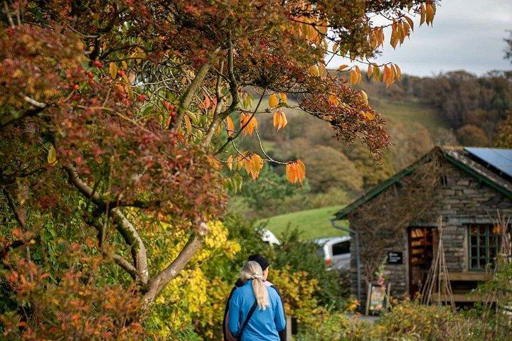 Private Tour: The Lake District from Manchester