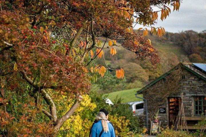 Private Tour: The Lake District from Liverpool