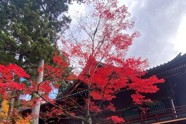 東京民間日光神社と自然日帰りツアーから