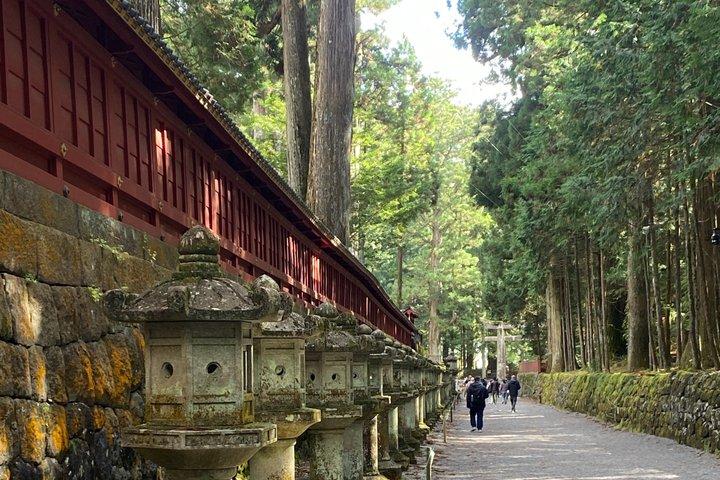東京民間日光神社と自然日帰りツアーから