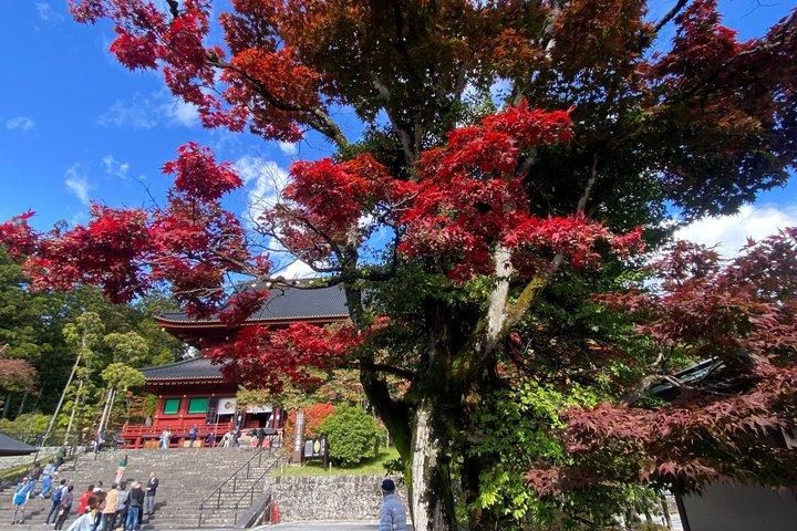 東京民間日光神社と自然日帰りツアーから