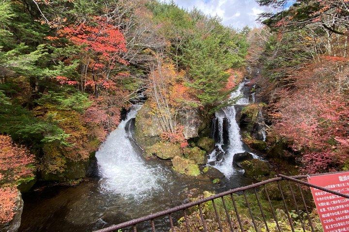 東京民間日光神社と自然日帰りツアーから