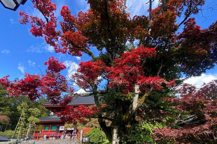 東京民間日光神社と自然日帰りツアーから