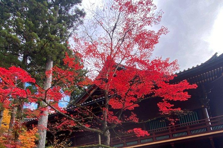 東京民間日光神社と自然日帰りツアーから