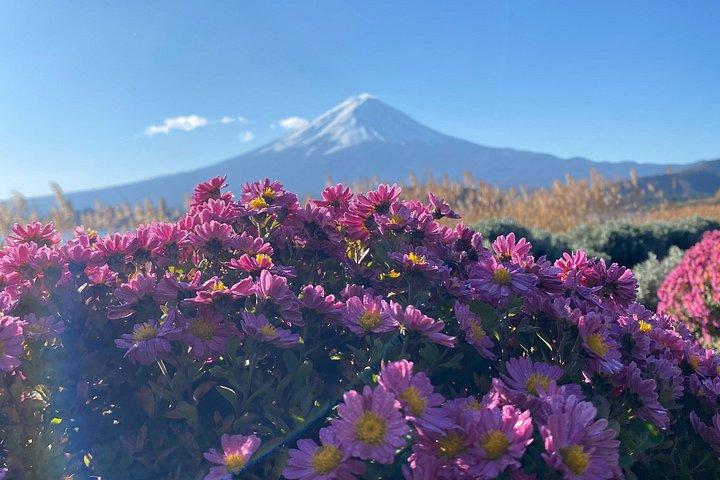 東京発：英語ガイド付き富士山プライベートカスタマイズツアー