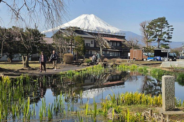 東京発：英語ガイド付き富士山プライベートカスタマイズツアー