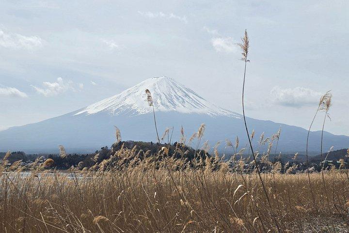 東京発：英語ガイド付き富士山プライベートカスタマイズツアー