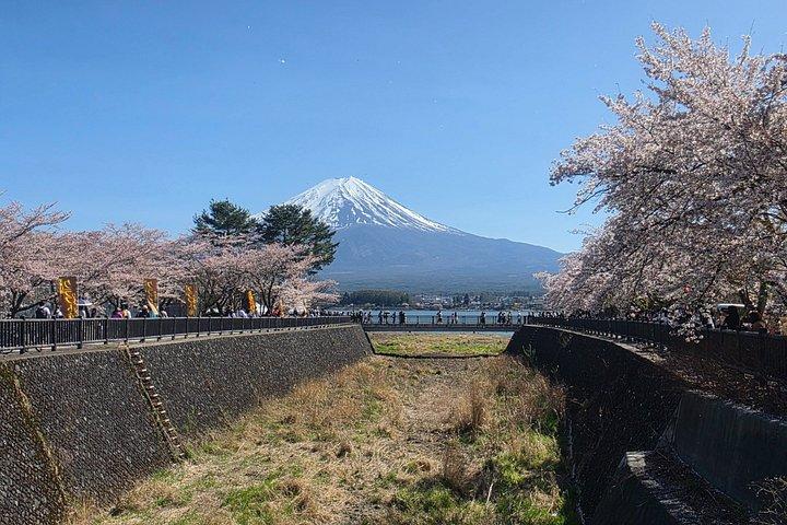 東京発：英語ガイド付き富士山プライベートカスタマイズツアー