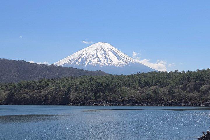 東京発：英語ガイド付き富士山プライベートカスタマイズツアー