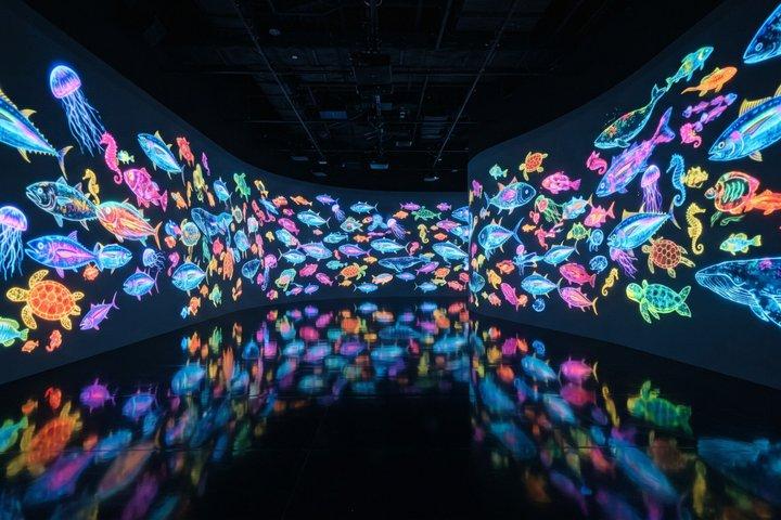 Tokyo Private Tour: teamLab Borderless & Tokyo City View