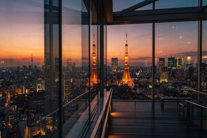 Tokyo Private Tour: teamLab Borderless & Tokyo City View