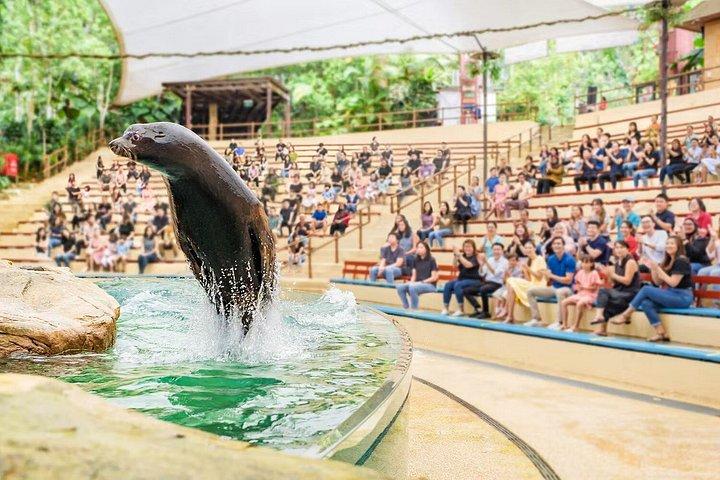 トラム乗り放題のシンガポール動物園チケット