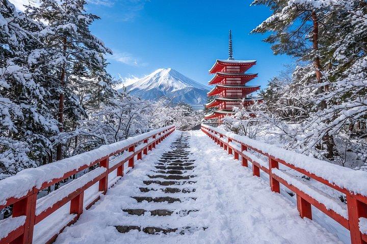 Mt. Fuji Scenic Train Adventure Small Group Guided Tour
