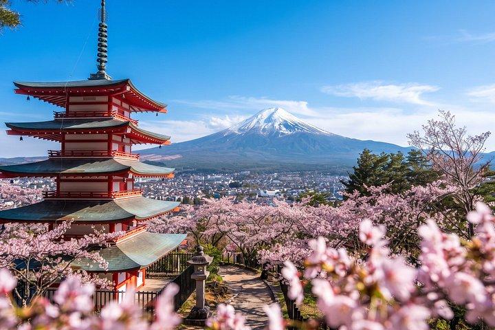 Mt. Fuji Scenic Train Adventure Small Group Guided Tour