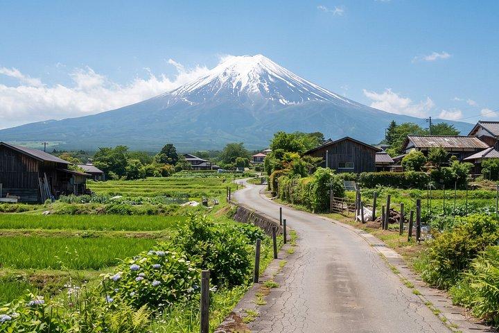Mt. Fuji Scenic Train Adventure Small Group Guided Tour