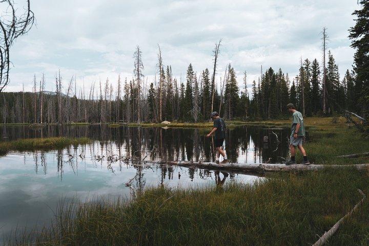 Uinta Mountains : Extreme 2 Hour UTV Adventure (2 Seat RZR)