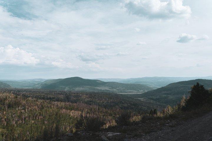 Uinta Mountains : Extreme 2 Hour UTV Adventure (2 Seat RZR)