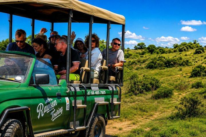 2 Day Schotia Safari Tour in Port Elizabeth